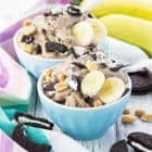 Vegan Oreo Ice Cream