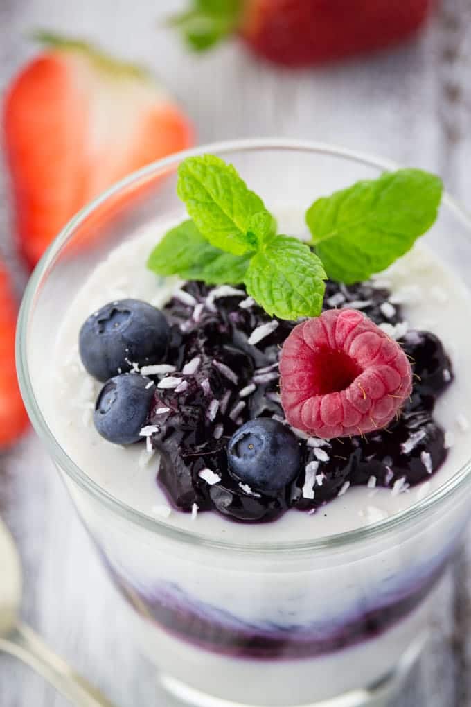 Vegan Blueberry Coconut Panna Cotta 