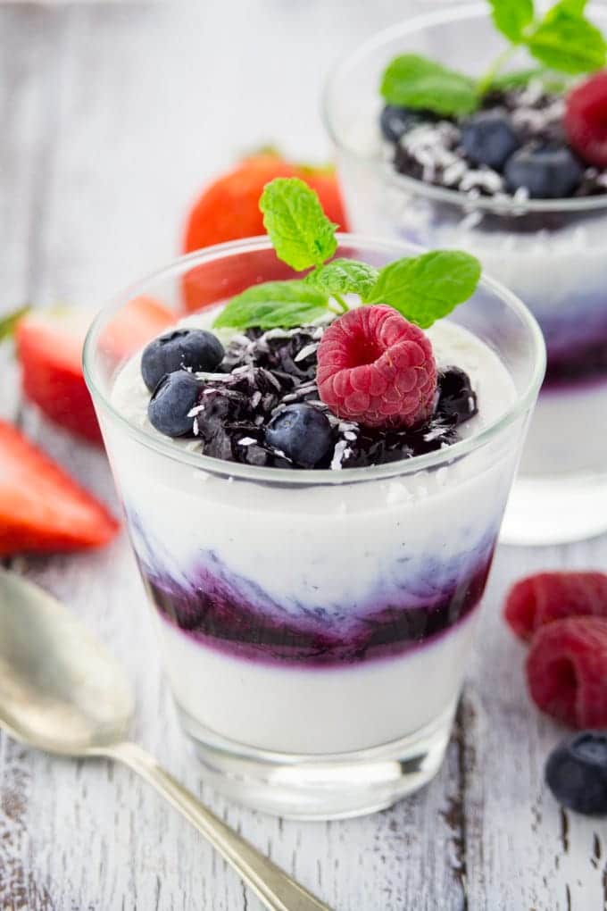 Vegan Blueberry Coconut Panna Cotta 