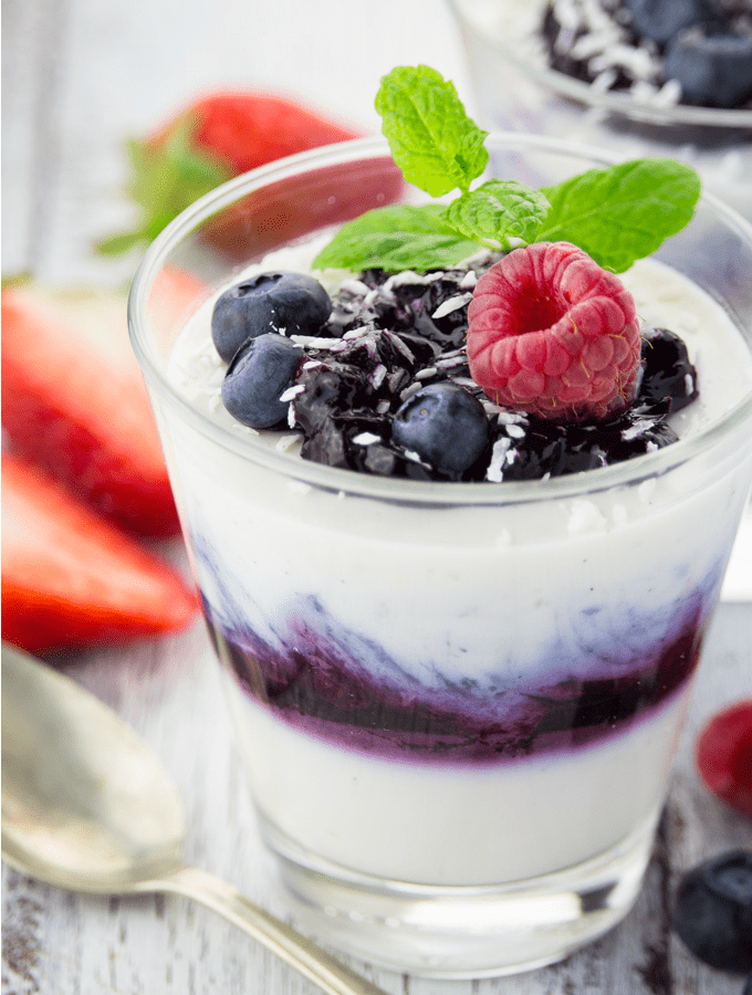 Vegan Blueberry Coconut Panna Cotta