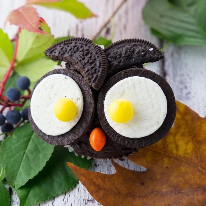 Halloween Owl Cupcakes