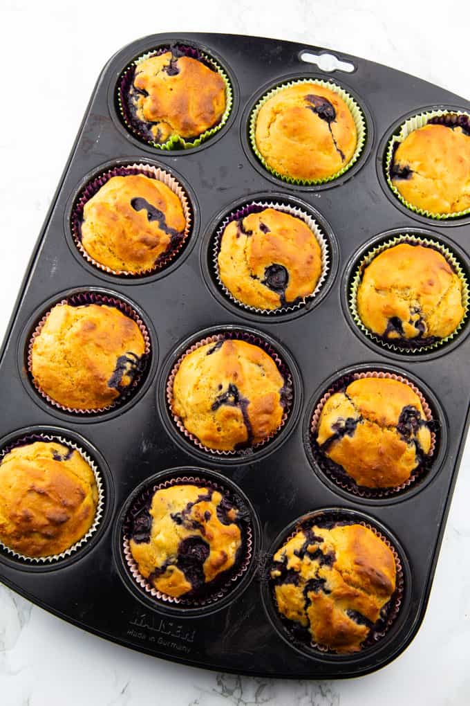 Vegan Blueberry Muffins in a baking tray after baking 