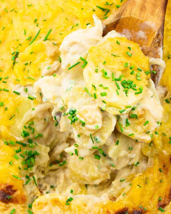 close-up photo of scalloped potatoes on a wooden spoon sprinkled with chopped chives 